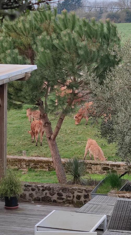 Gite A La Campagne Saint-Brice-sur-Vienne Zewnętrze zdjęcie